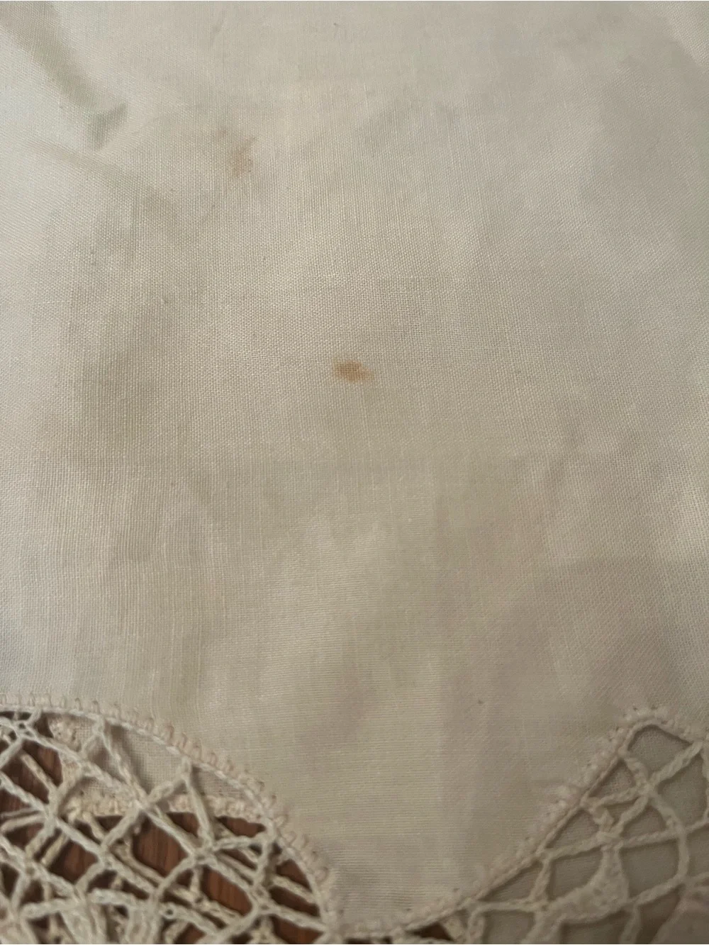 Vintage Italian Cotton Embroidered Crochet Beige Tablecloth 63” x120”